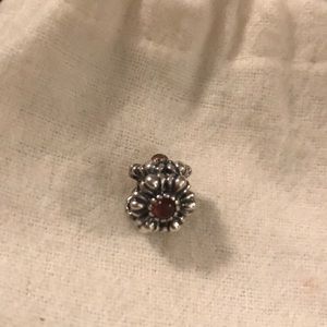 Pandora birthday month charm